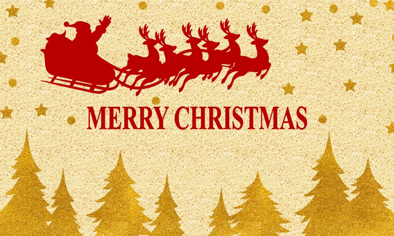 coir products manufacturers in kerala